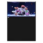 WATERBOX REEF 100.3 BLACK